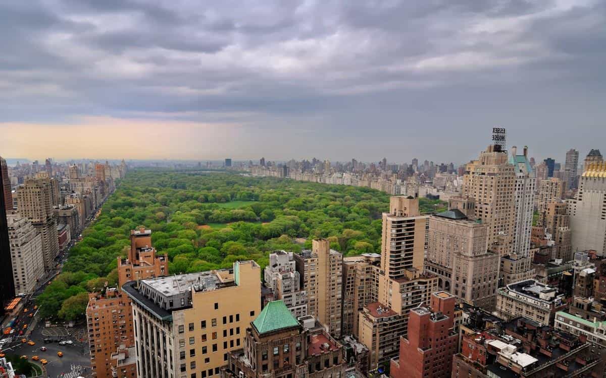 纽约都市风光图片