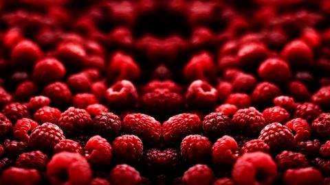 树莓高清摄影图片