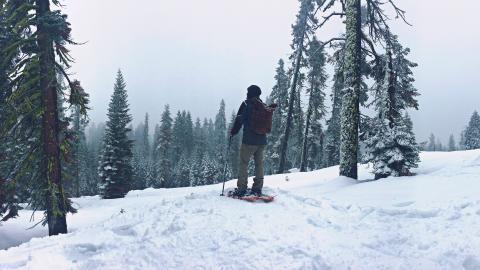 刺激的滑雪运动图片