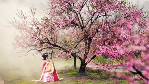 古典琵琶美女图片