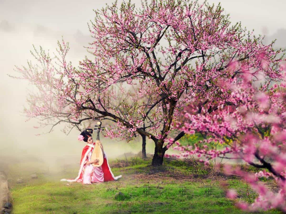 古典琵琶美女图片