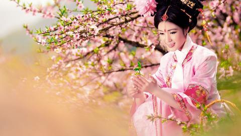 古典琵琶美女图片