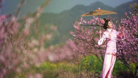 古典琵琶美女图片