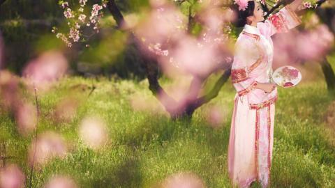 古典琵琶美女图片