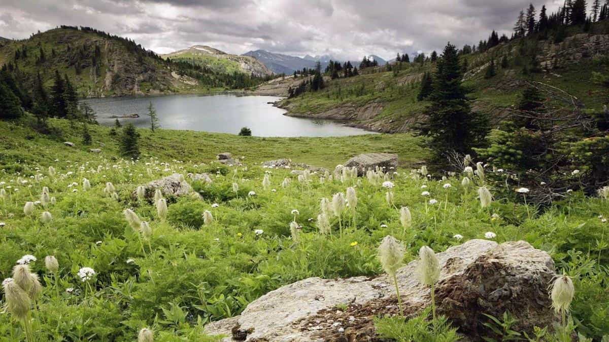 加拿大自然风景图片
