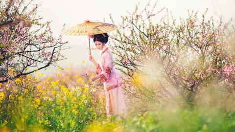 古典琵琶美女图片