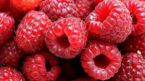 树莓高清摄影图片