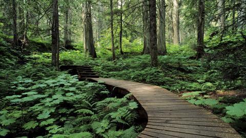 加拿大自然风景图片