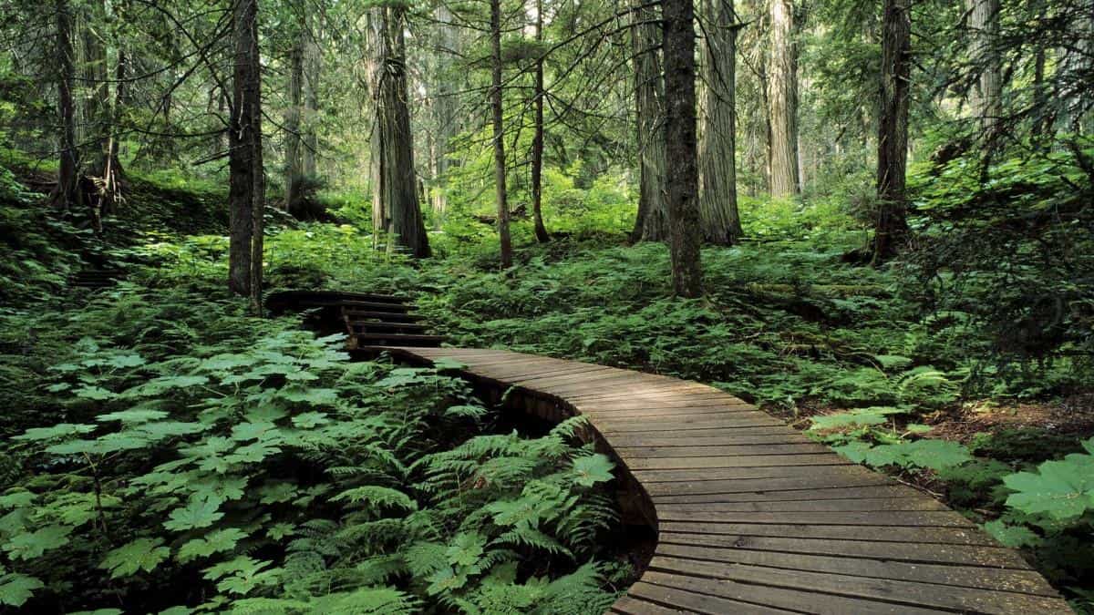 加拿大自然风景图片