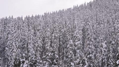 加拿大自然风景图片