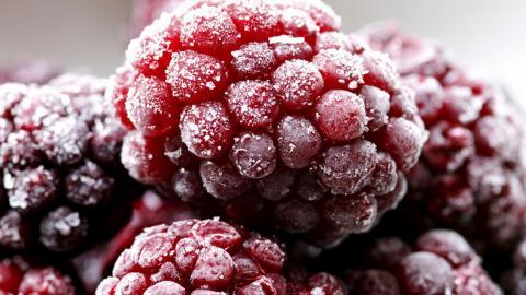 树莓高清摄影图片