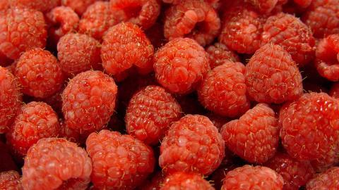 树莓高清摄影图片