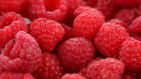 树莓高清摄影图片