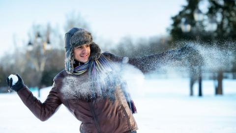 冬季雪地上嬉戏玩耍图片