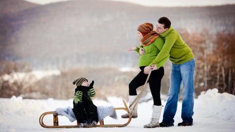 冬季雪地上嬉戏玩耍图片