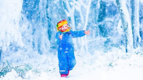 冬季雪地上嬉戏玩耍图片