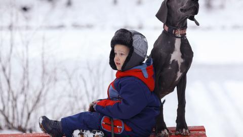 冬季雪地上嬉戏玩耍图片