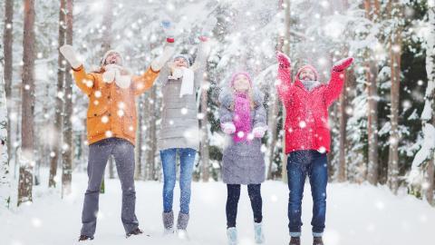 冬季雪地上嬉戏玩耍图片