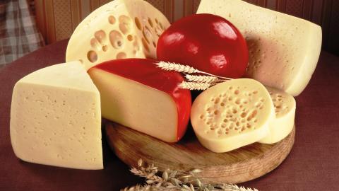 营养美味的奶酪图片