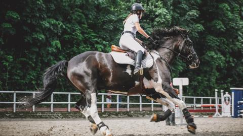 骑马马术运动图片