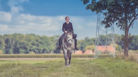 骑马马术运动图片