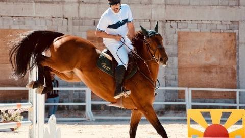 骑马马术运动图片