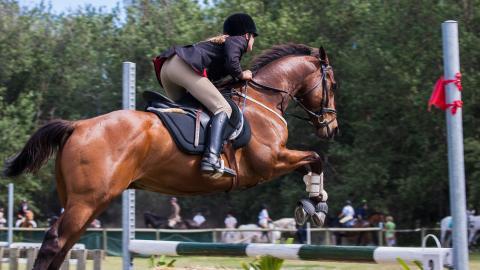 骑马马术运动图片