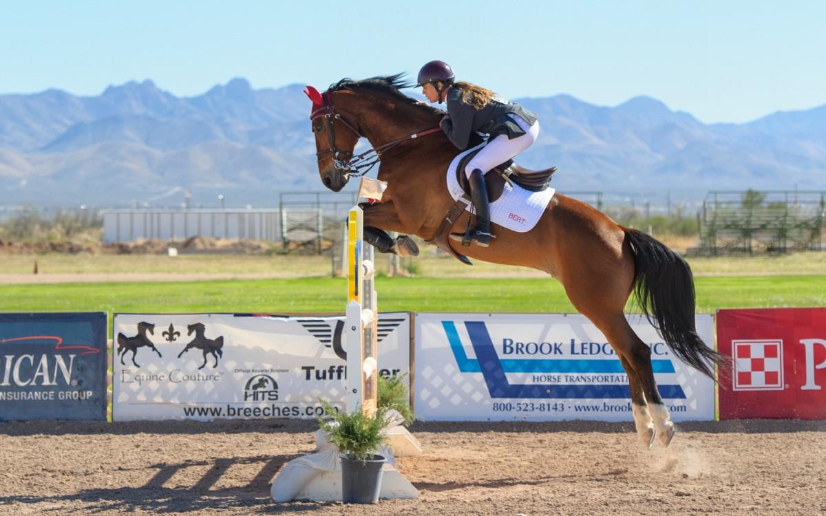 骑马马术运动图片
