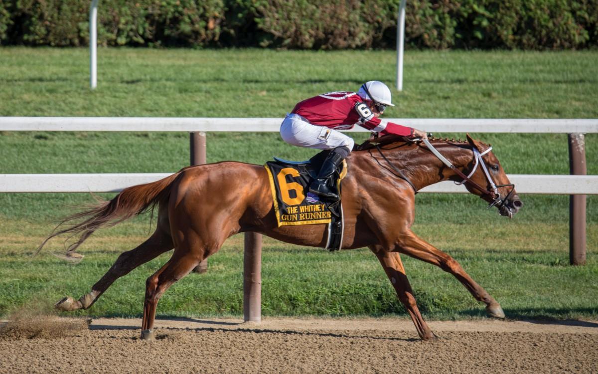 骑马马术运动图片