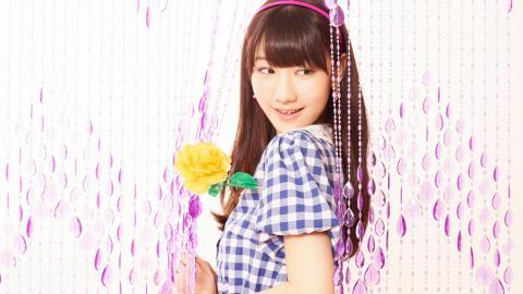 美女柏木由纪图片