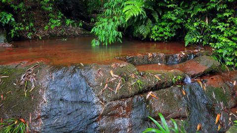 美丽的溪泉瀑布图片