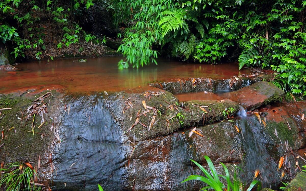 美丽的溪泉瀑布图片