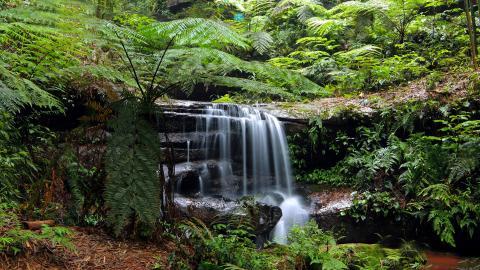 美丽的溪泉瀑布图片