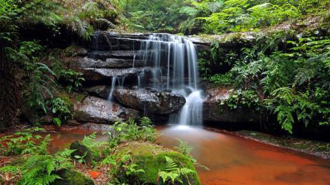 美丽的溪泉瀑布图片