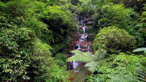 美丽的溪泉瀑布图片