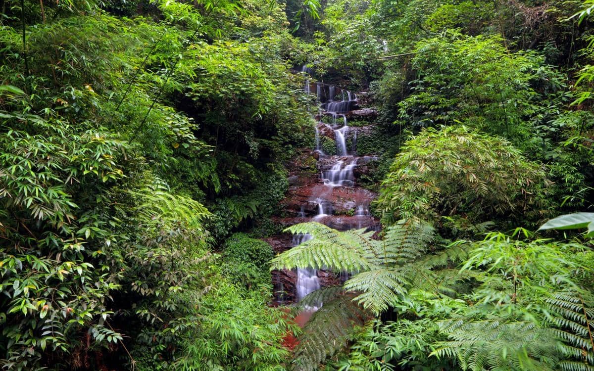 美丽的溪泉瀑布图片