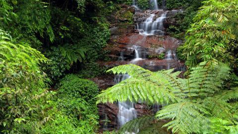 美丽的溪泉瀑布图片