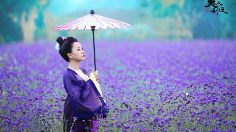 美人制造电视剧剧照图片