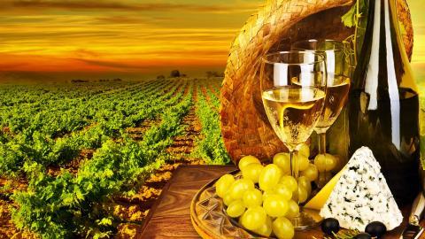 葡萄酒图片