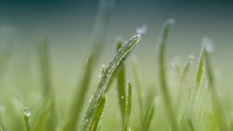 冬季雪的景观图片