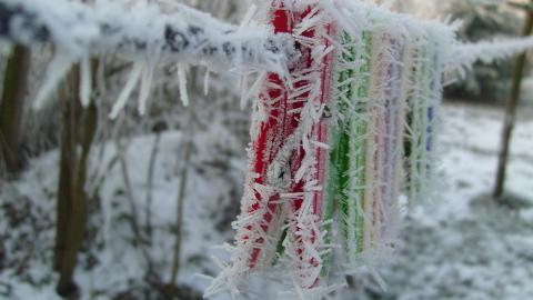 冬季雪的景观图片