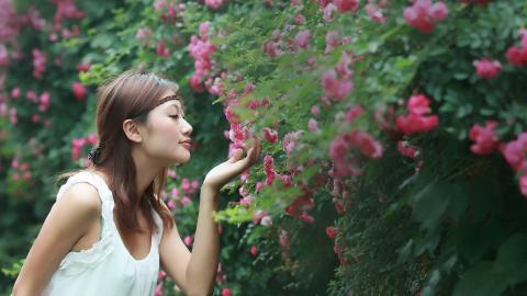 各色超精品美女图片