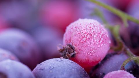 冬季雪的景观图片