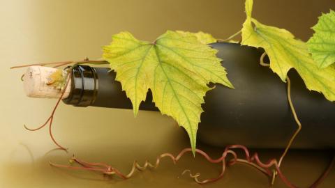 葡萄酒图片