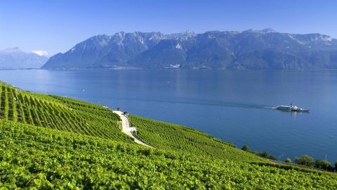 壮观的高清自然风景图片