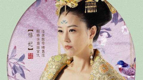 武媚娘传奇人物演员图片
