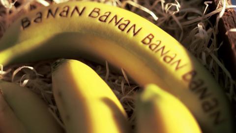 水果之王香蕉Bananas图片