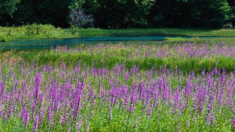 四川九寨沟自然风景图片