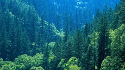 四川九寨沟自然风景图片