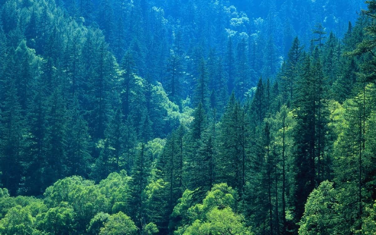 四川九寨沟自然风景图片